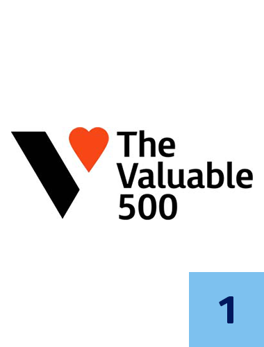 an image of the valuable 500 logo